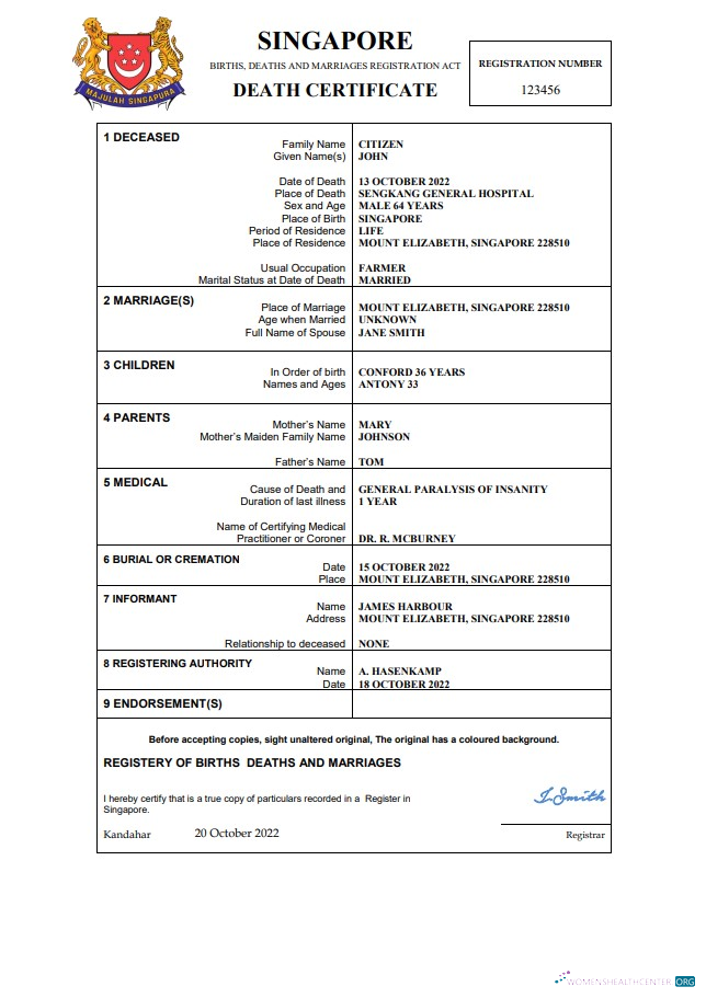 Download Singapore vital record death certificate Word and PDF template Photoshop template
